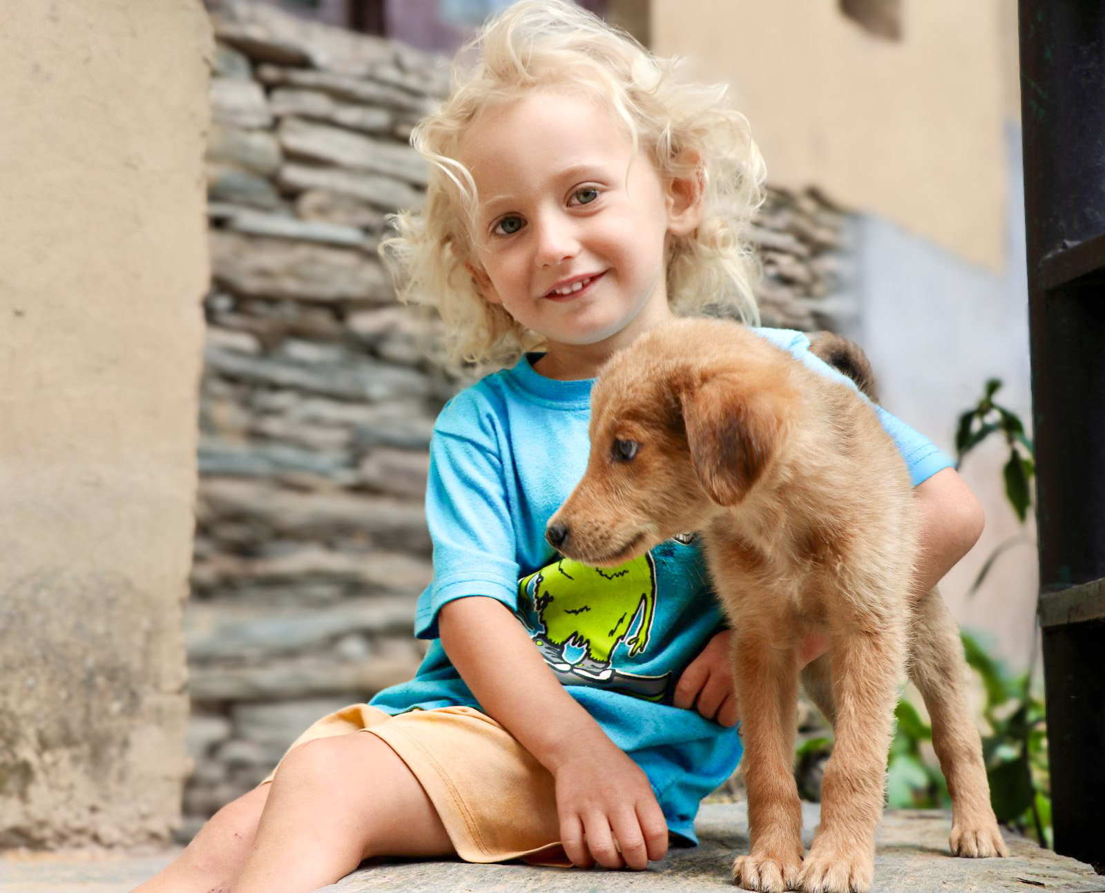 Veterinaria a domicilio